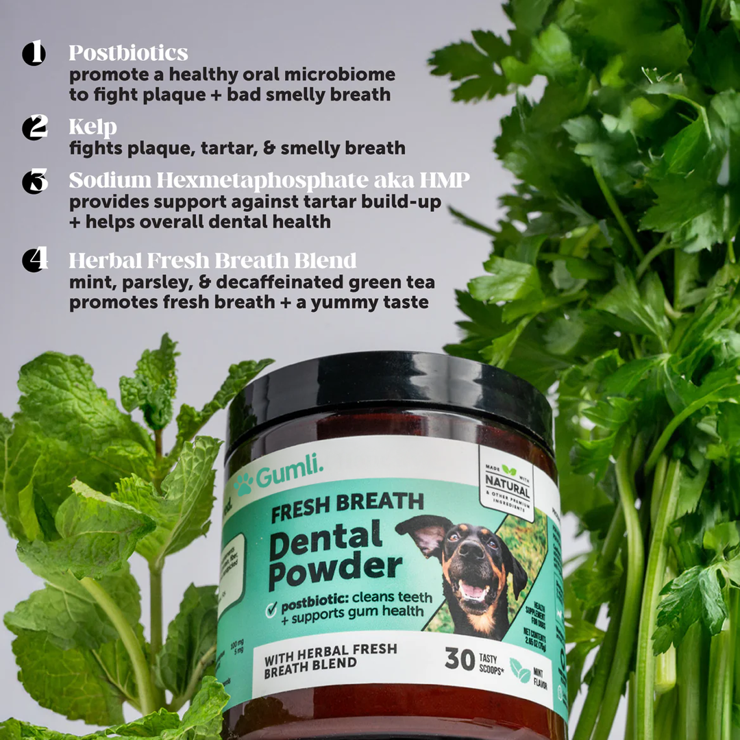 Gumli Dental Powder™