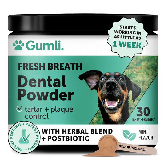 Gumli Dental Powder™